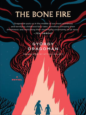 cover image of The Bone Fire